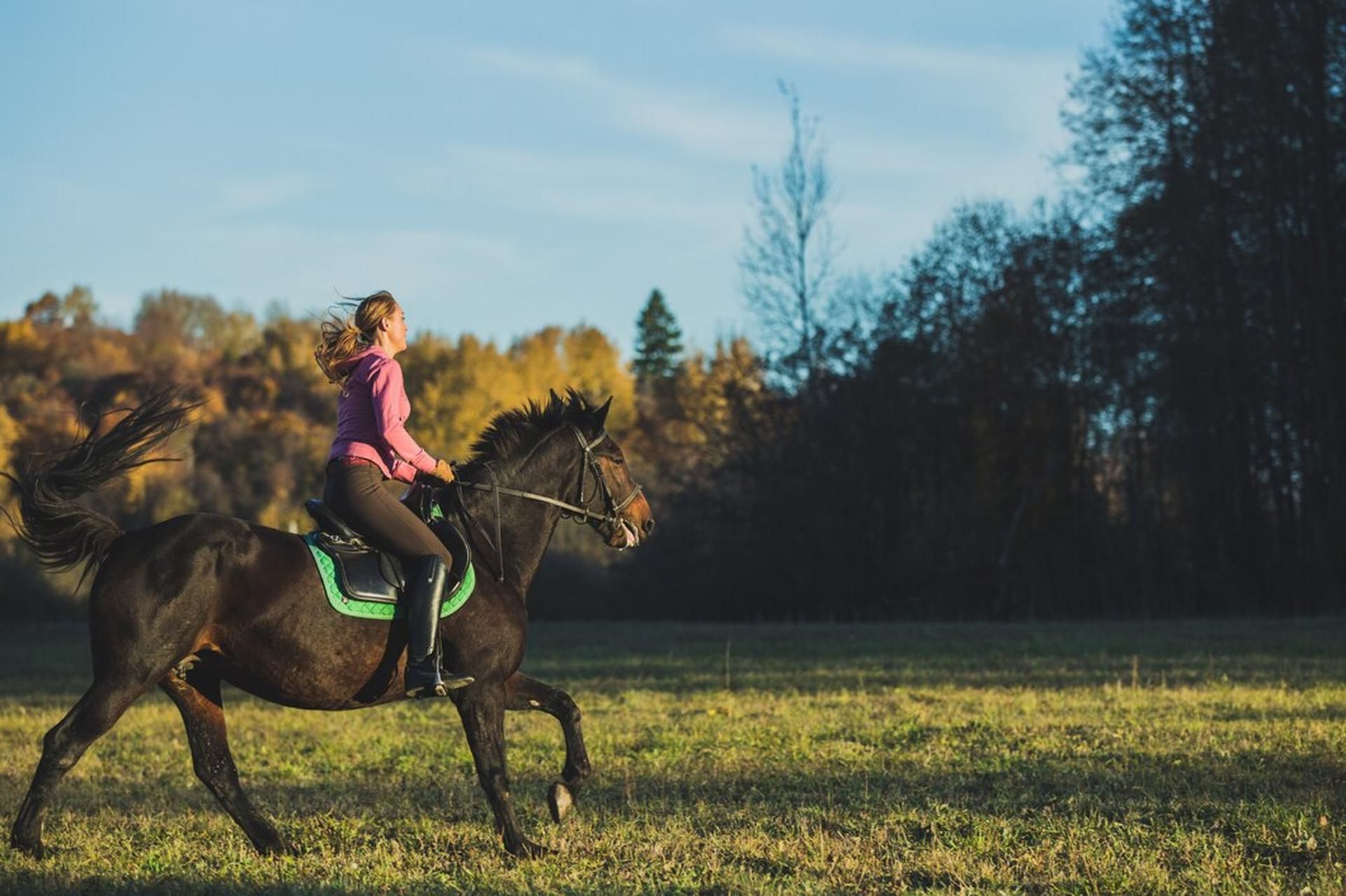 Voorkom hoefpijn en blessures bij paarden met Powerhoof